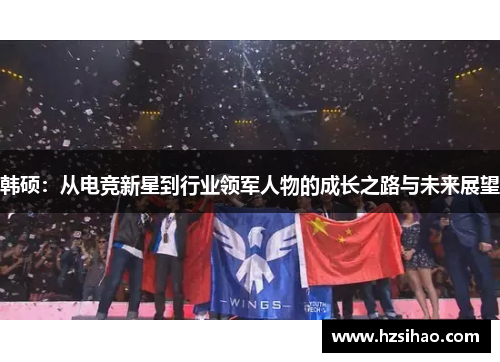 韩硕：从电竞新星到行业领军人物的成长之路与未来展望
